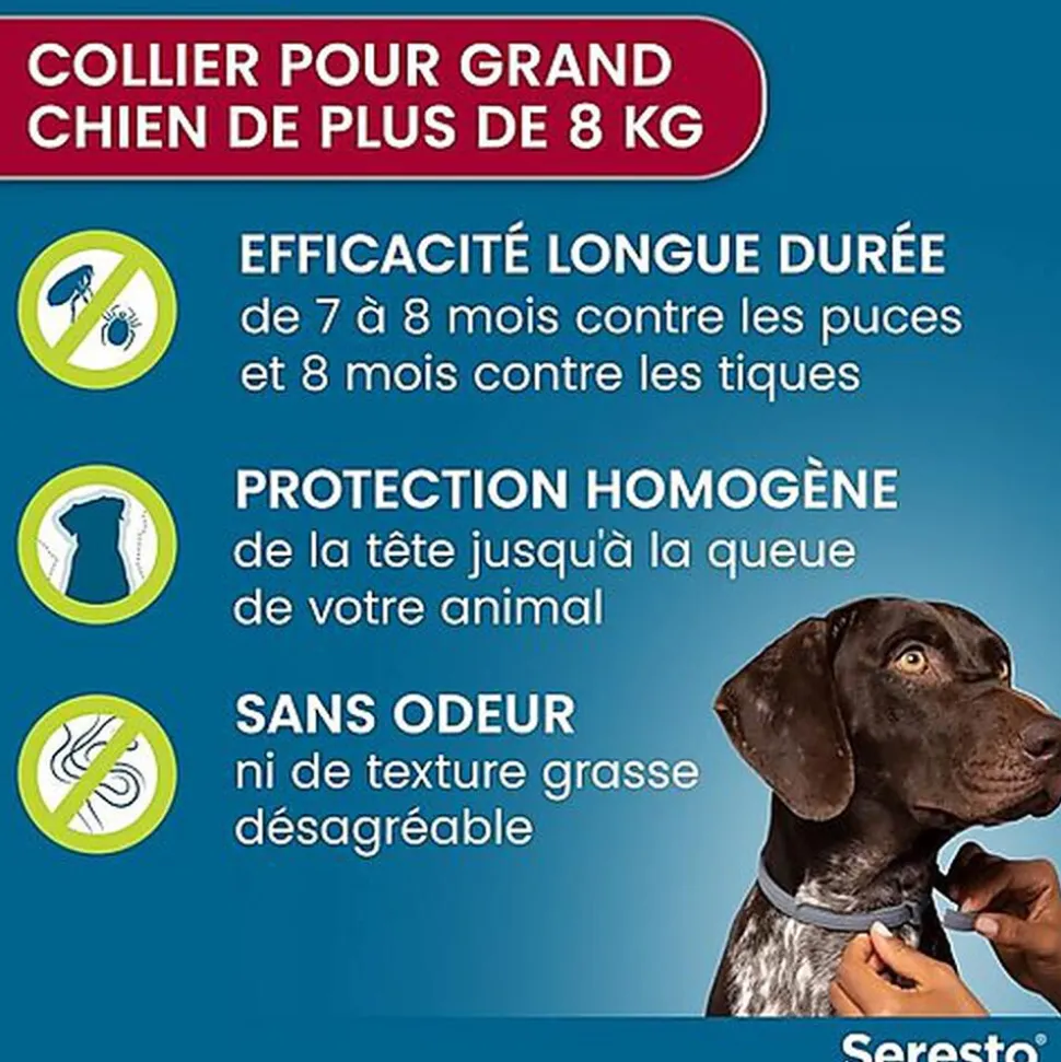 Elanco - Collier Seresto Antiparasitaires pour Grand Chien