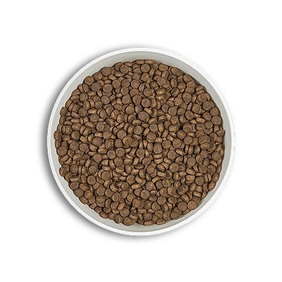 Era - Croquettes Millennium Saumon et Hareng pour Petits Chiens