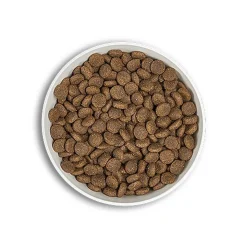 Era - Croquettes Millennium Poulet et Faisan pour Chiens Moyennes et Grandes Races