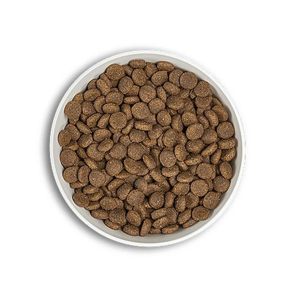 Era - Croquettes Millennium Poulet et Faisan pour Chiens Moyennes et Grandes Races