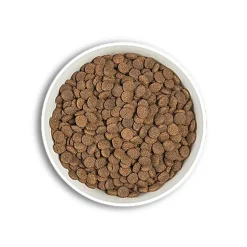 Era - Croquettes Millennium Poulet et Dinde Chiots de Grandes Races - 500g