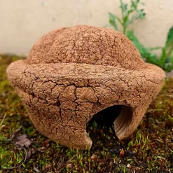 Eublepharis - Cachette Bilbo pour Reptiles - 20cm