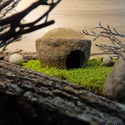 Eublepharis - Cachette Bilbo pour Reptiles - 20cm