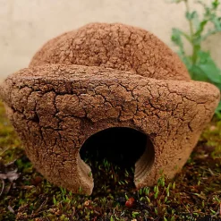 Eublepharis - Cachette Bilbo pour Reptiles - 20cm