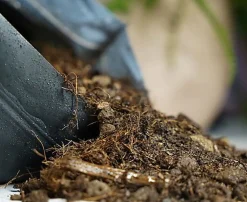 Eublepharis - Sol Nutritif Bio-Active Premium Tropical Soil - 10Kg