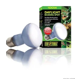 Exo Terra - Ampoule Daylight Basking Spot - 100W