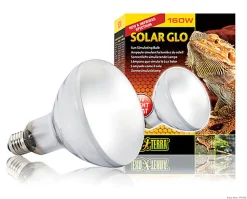Exo Terra - Ampoule Solar Glo pour Terrarium Reptile - 160W