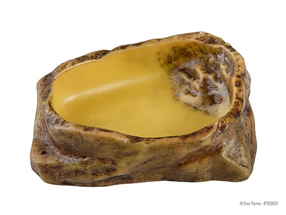 Exo Terra - Bol pour Reptile - M