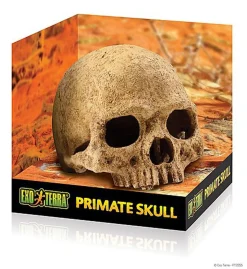 Exo Terra - Décoration Crâne Primate Skull pour Terrarium