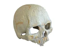 Exo Terra - Décoration Crâne Primate Skull Small pour Terrarium
