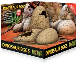Exo Terra - Décoration ¼ufs de Dinosaure pour Terrarium