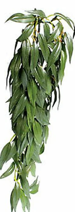 Exo Terra - Feuillage Décoratif Ruscus Plante pour Terrarium - 41cm