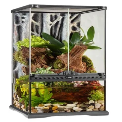 Exo Terra - Natural Paludarium - 30x30x60cm