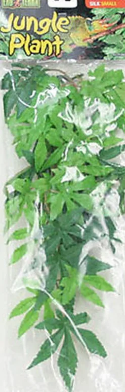 Exo Terra - Plante Abutilon pour Terrarium - S