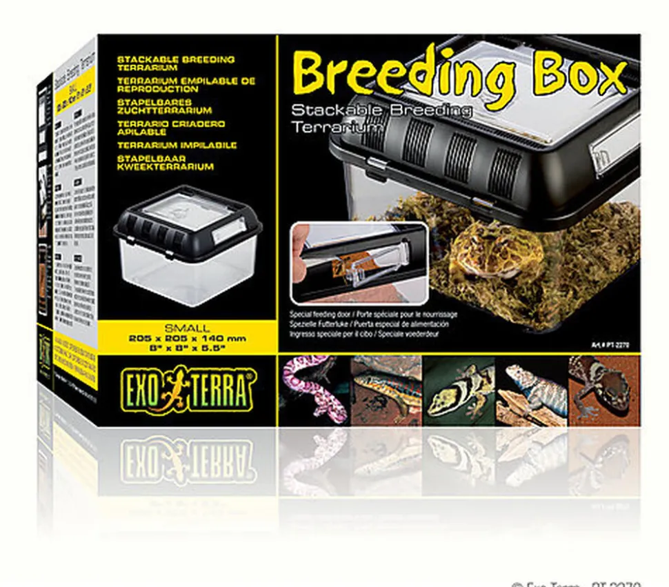 Exo Terra - Terrarium Breeding Box S pour Reptiles - 20x20x15cm