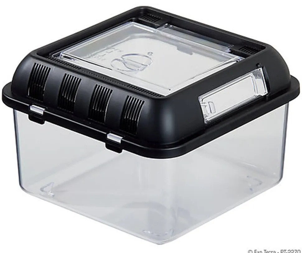 Exo Terra - Terrarium Breeding Box S pour Reptiles - 20x20x15cm