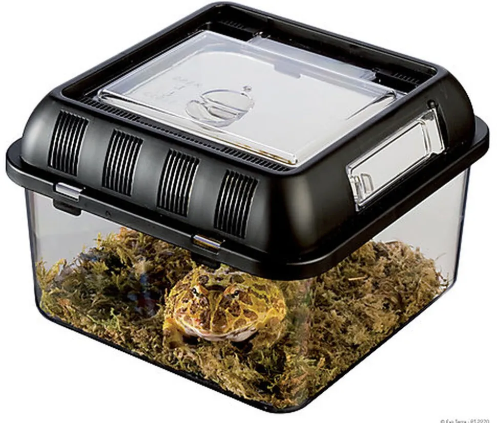 Exo Terra - Terrarium Breeding Box S pour Reptiles - 20x20x15cm