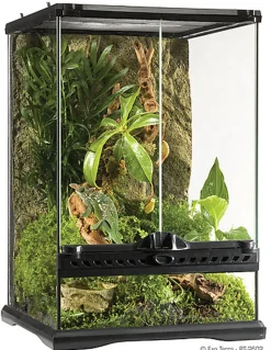 Exo Terra - Terrarium en Verre pour Reptile - 30x30x45cm