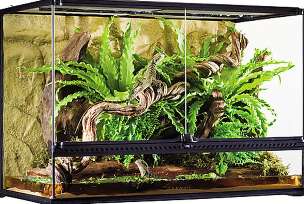Exo Terra - Terrarium Exo Terra pour Reptiles - 90x45x60cm