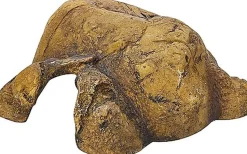 Exo Terra Reptile Cave - M