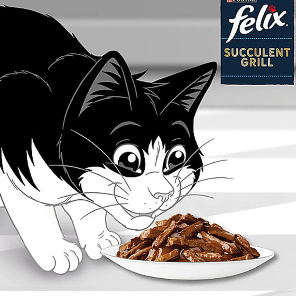 FELIX - Pochons Succulent Grill Selection de la Campagne à la Viande en Sauce pour chats adultes - 12X80g