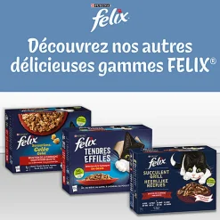FELIX - Sachets Fraîcheur Emincés en Gelée Selection Mixte pour chats adultes - 12x85g