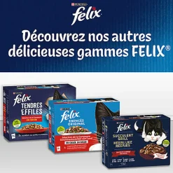 FELIX - Sachets fraîcheurs Délicieux Duos en Gelée Mixte Boeuf poulet Poisson pour Chats- 24x85g