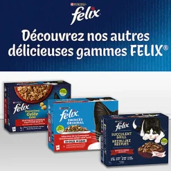 FELIX - Sachets fraîcheurs Tendres Effilés en Gelée Mixte pour Chats - 24x85g
