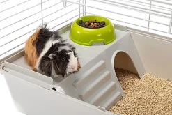 Ferplast - Cage Cavie 80 pour Cochon d Inde - Gris