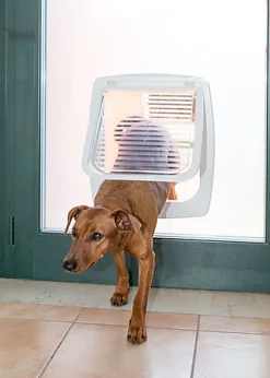 Ferplast - Chatière Swing 11 pour Chiens - Gris