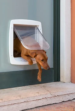 Ferplast - Chatière Swing T11 en Plastique