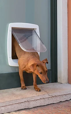 Ferplast - Chatière Swing T11 en Plastique