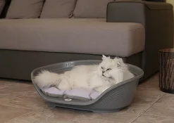 Ferplast - Corbeille Siesta Deluxe en Plastique Bordeaux