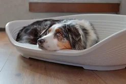 Ferplast - Corbeille Siesta Deluxe en Plastique