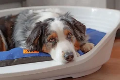 Ferplast - Corbeille Siesta Deluxe en Plastique