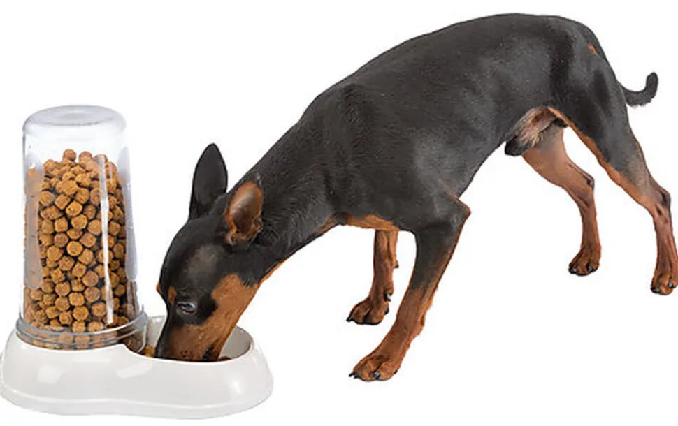 Ferplast - Distributeur Azimut 600 Eau / Nourriture pour Chiens - Blanc