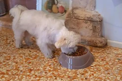 Ferplast - Ecuelle Anti-glouton Magnus Slow Rouge - S