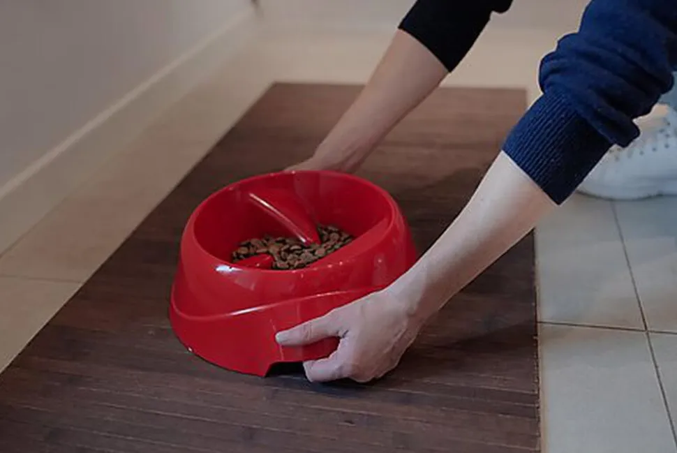 Ferplast - Ecuelle Anti-glouton Magnus Slow Gris - L