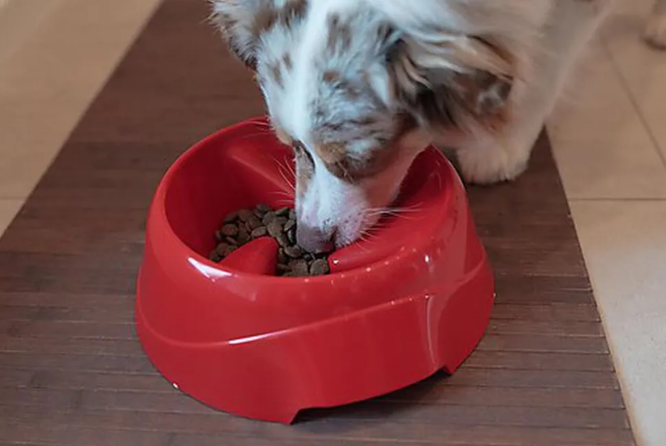 Ferplast - Ecuelle Anti-glouton Magnus Slow Gris - L