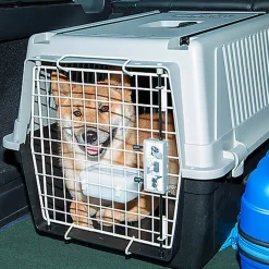 Ferplast - Panier de Transport Atlas 40 en Plastique - Gris