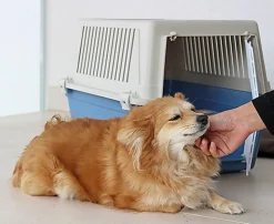 Ferplast - Panier de Transport Atlas 30 EL - Bleu