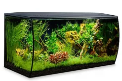 Fluval - Aquarium Flex Noir - 123L