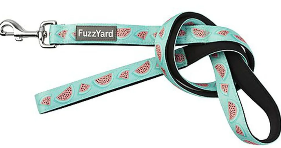 FuzzYard - Laisse Summer Punch pour Chien - S