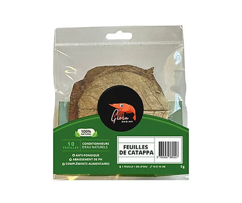 Gioiashrimp - Feuilles de Catappa pour Crevettes - x10