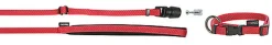 Goleygo - Ensemble Laisse Collier et Goupille Rouge pour Chien