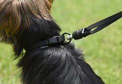 Goleygo - Laisse Plate Réglable Noir pour Chien