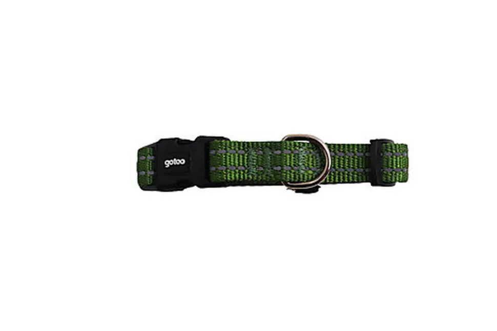 Gotoo - Collier en Nylon Premium Vert pour Chien