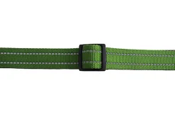 Gotoo - Collier en Nylon Premium Vert pour Chien