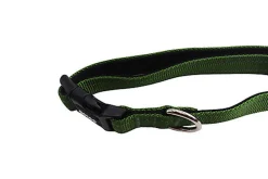 Gotoo - Collier en Nylon Premium Vert pour Chien