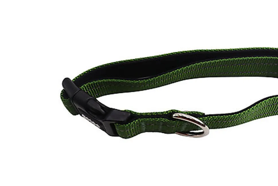 Gotoo - Collier en Nylon Premium Vert pour Chien